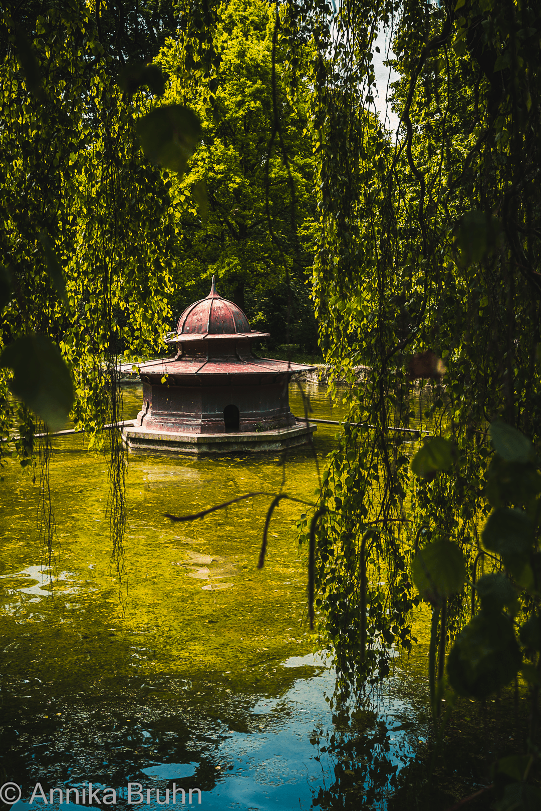 Q erfrischt sich am kleinen Teich